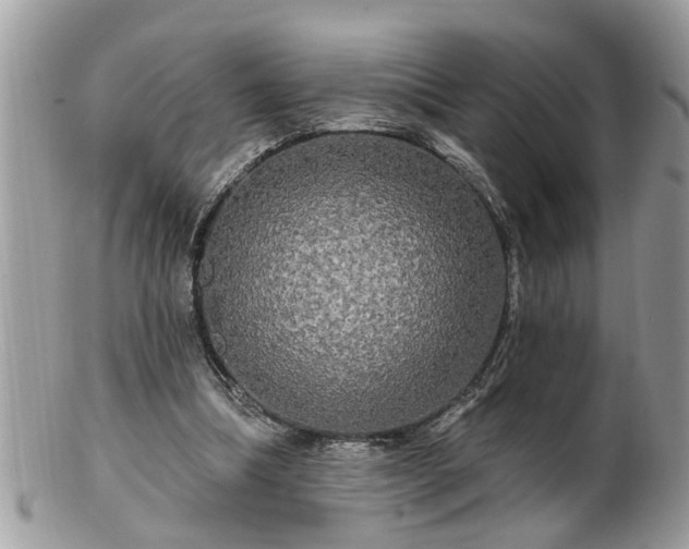 X0000100970298200807011427