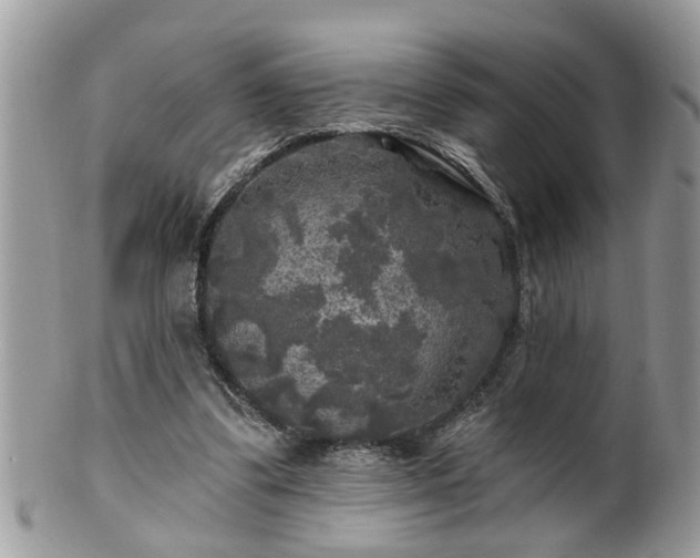 X0000100970299200807011427