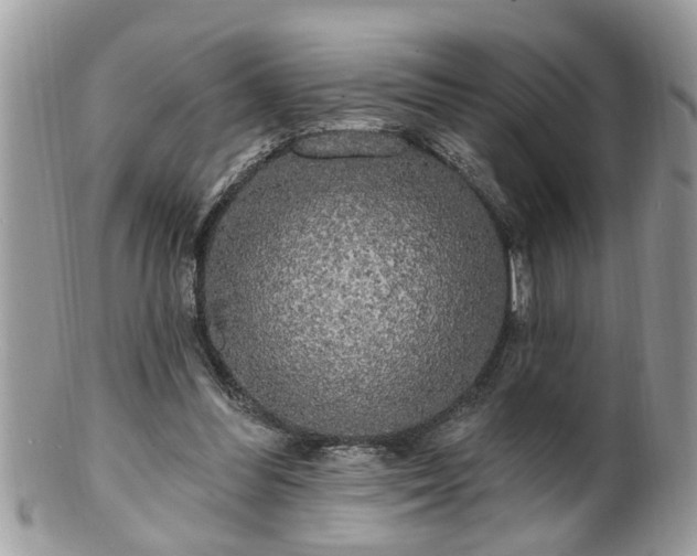 X0000100970300200807011427