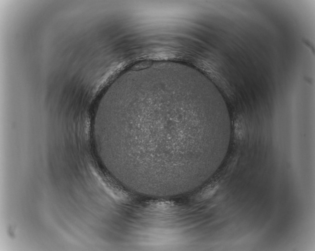 X0000100970304200807011427