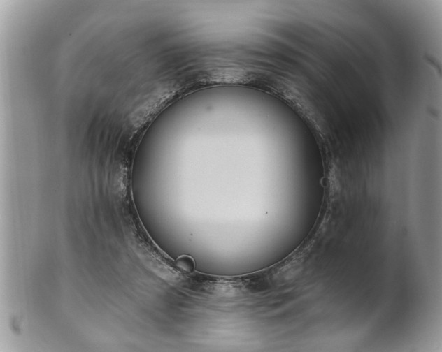 X0000100970305200807011426
