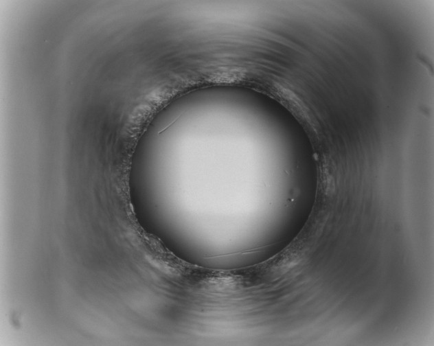 X0000100970307200807011426