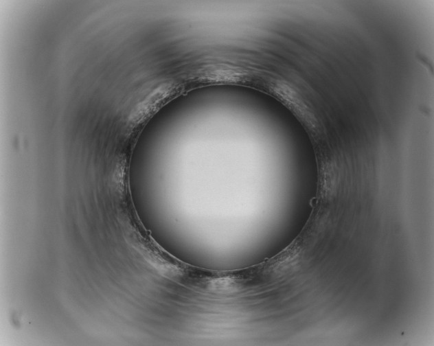 X0000100970309200807011426