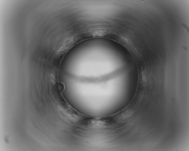 X0000100970311200807011426