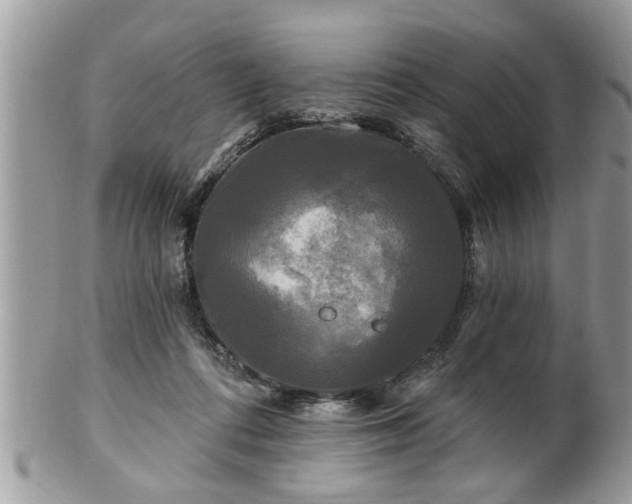 X0000100970312200807011426