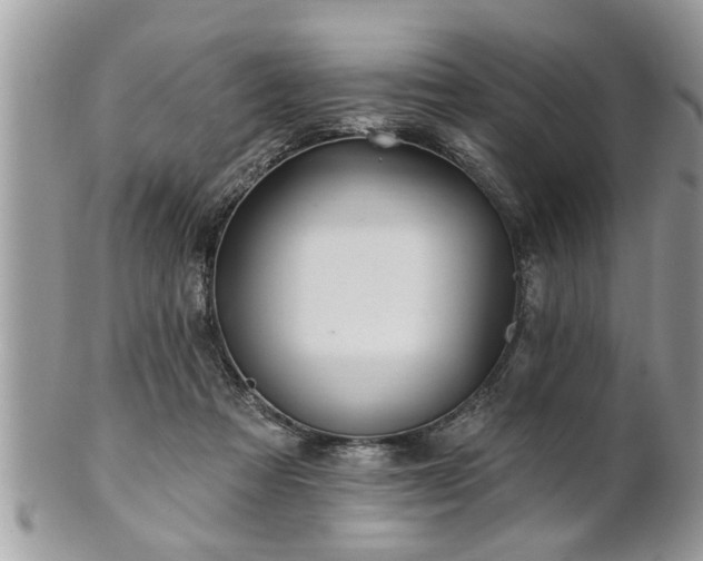 X0000100970313200807011426