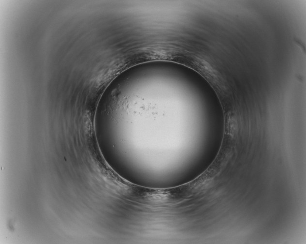 X0000100970318200807011426