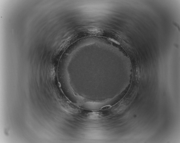 X0000100970320200807011426