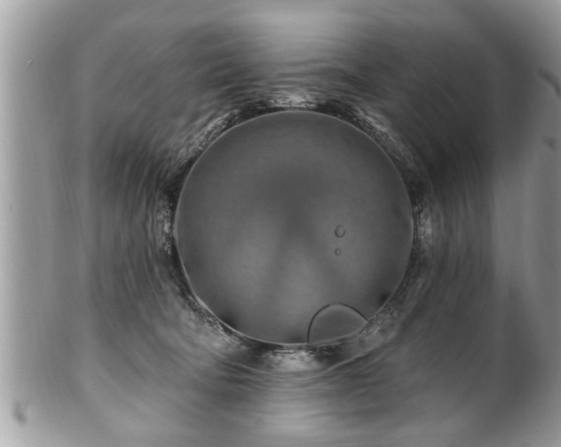 X0000100970322200807011426