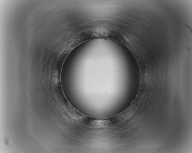 X0000100970323200807011426