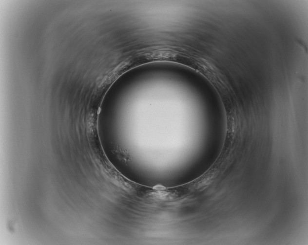 X0000100970326200807011426