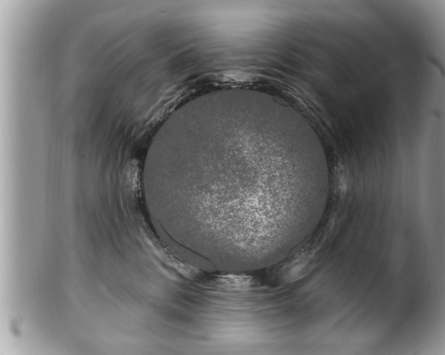 X0000100970328200807011426