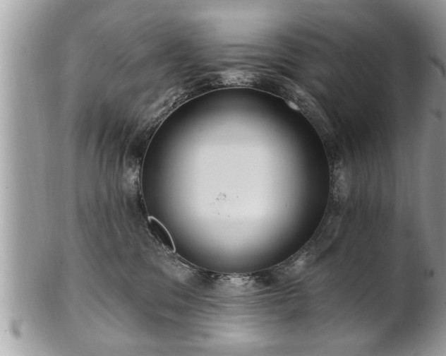 X0000100970329200807011426