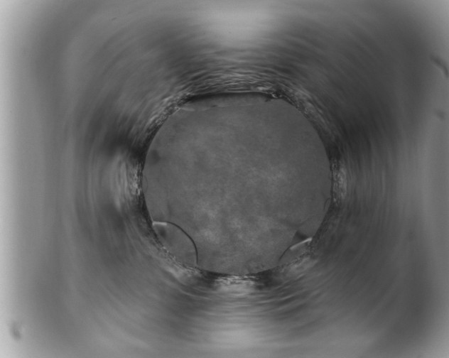 X0000100970331200807011426