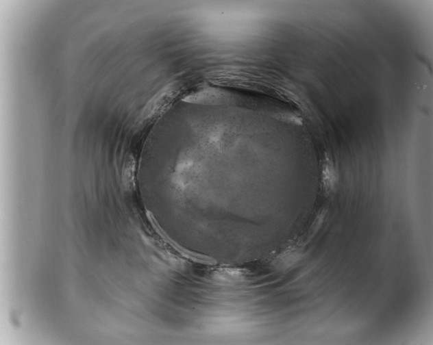 X0000100970332200807011426