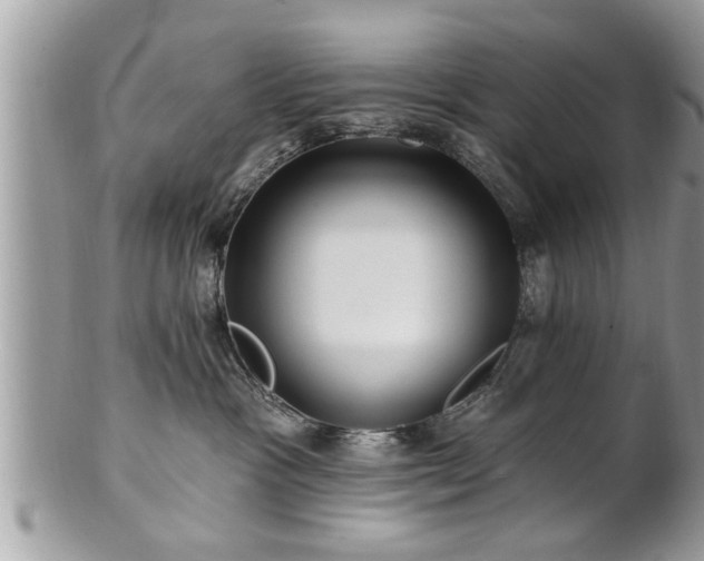 X0000100970333200807011426