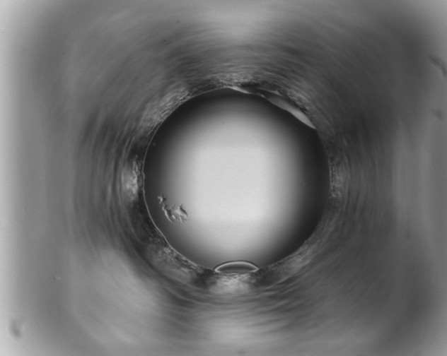 X0000100970334200807011426