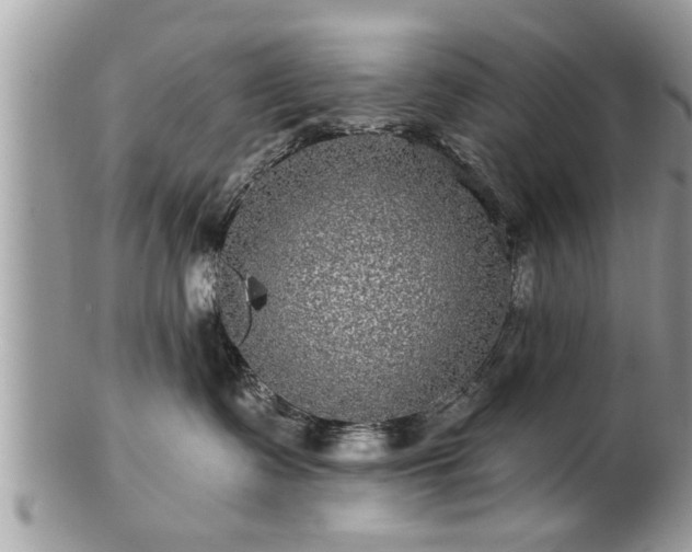 X0000100970335200807011426