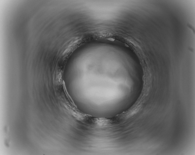 X0000100970336200807011426