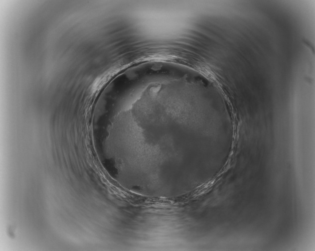 X0000100970337200807011425