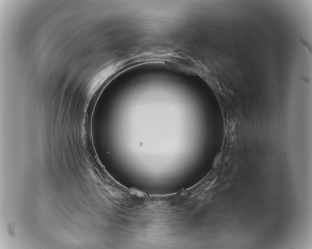 X0000100970340200807011425