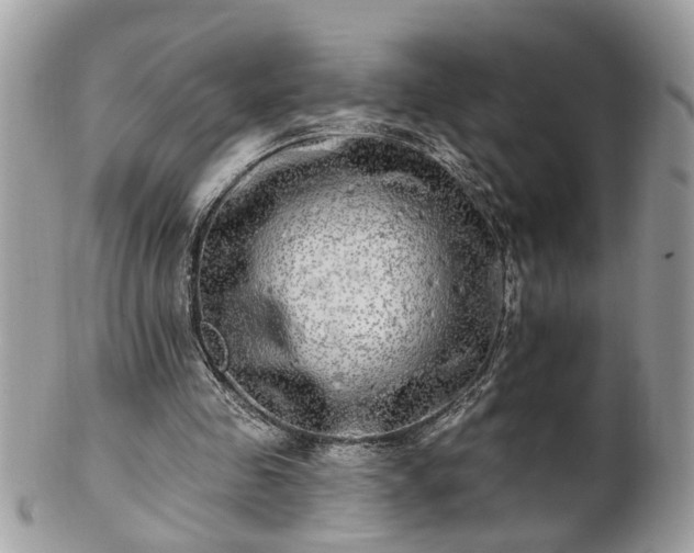 X0000100970341200807011425