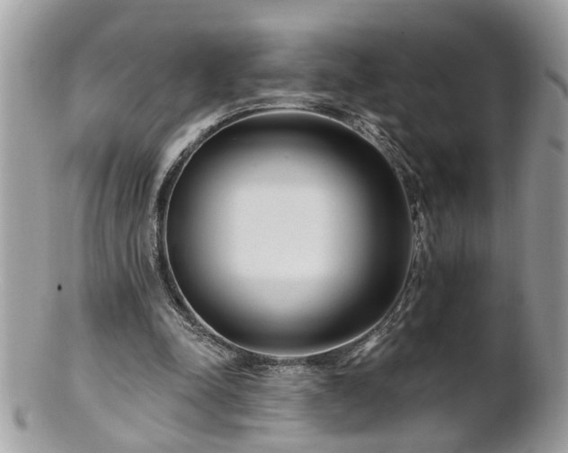 X0000100970342200807011425