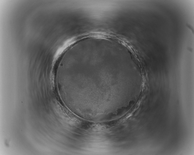X0000100970343200807011425
