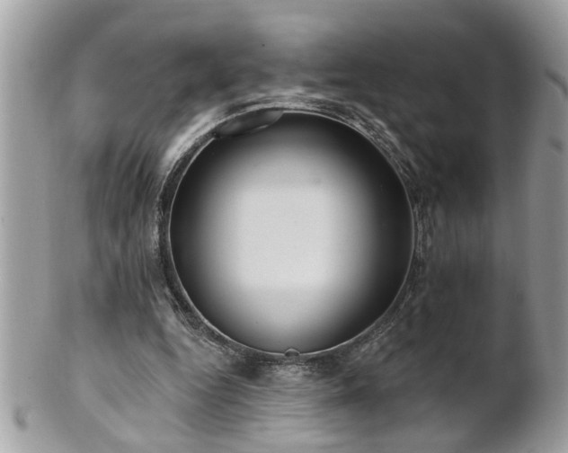X0000100970344200807011425