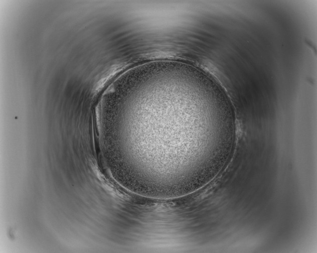 X0000100970345200807011425