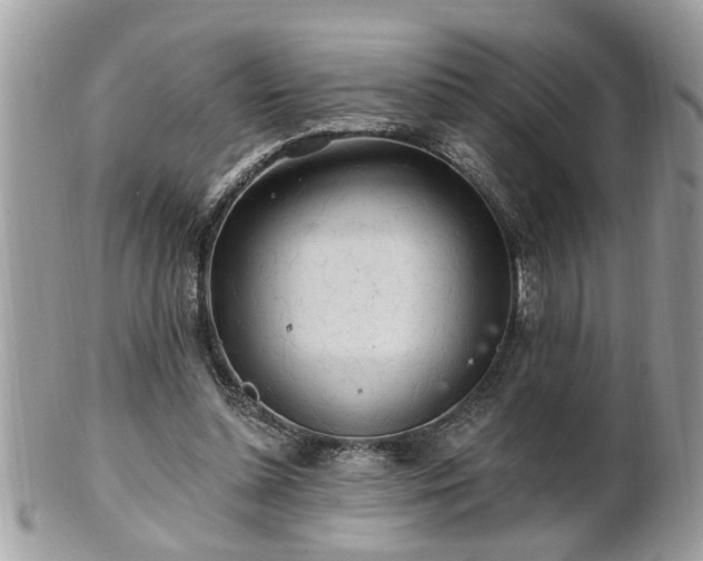 X0000100970348200807011425