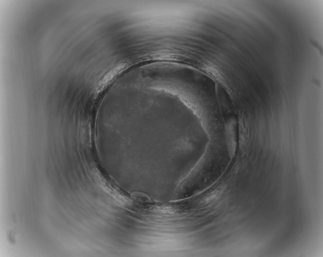 X0000100970349200807011425