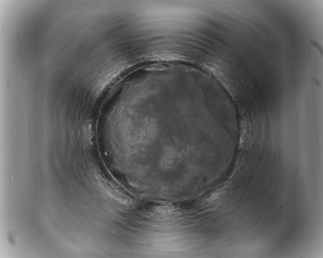 X0000100970351200807011425