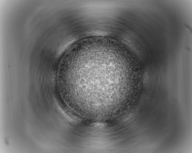 X0000100970352200807011425