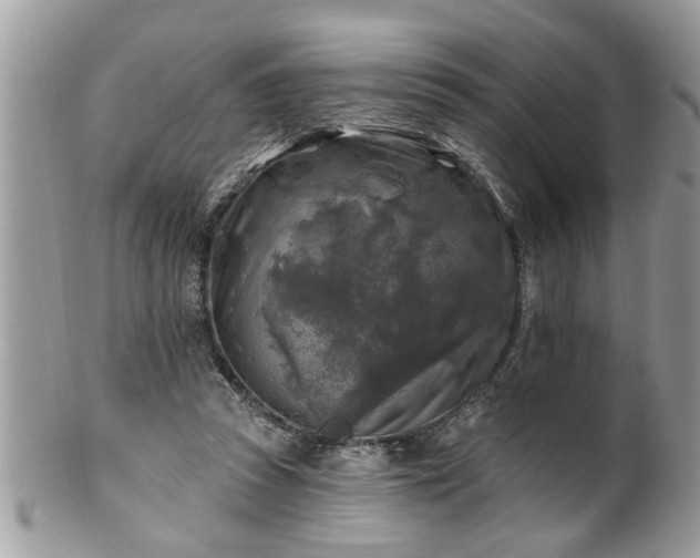 X0000100970353200807011425