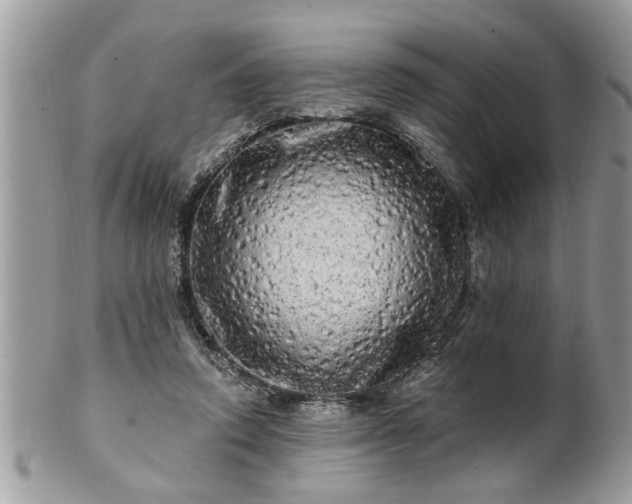 X0000100970354200807011425
