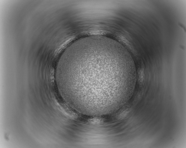 X0000100970356200807011425