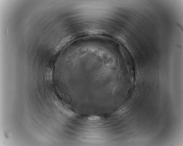 X0000100970357200807011425