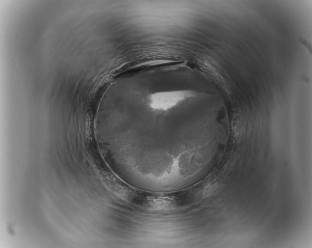 X0000100970359200807011425