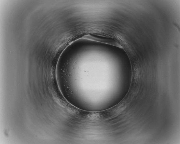 X0000100970362200807011426