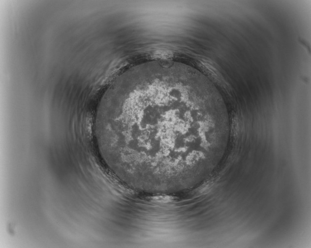 X0000100970363200807011426