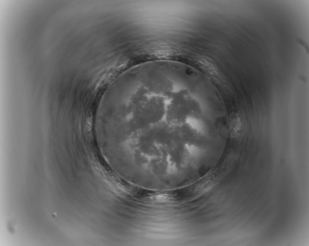 X0000100970365200807011426