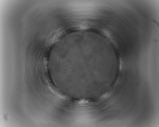 X0000100970366200807011426