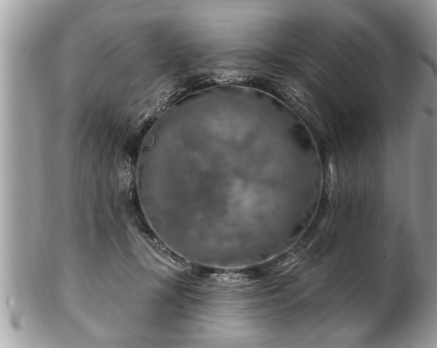X0000100970367200807011426