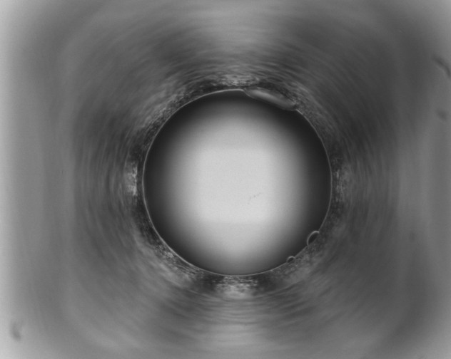 X0000100970368200807011426