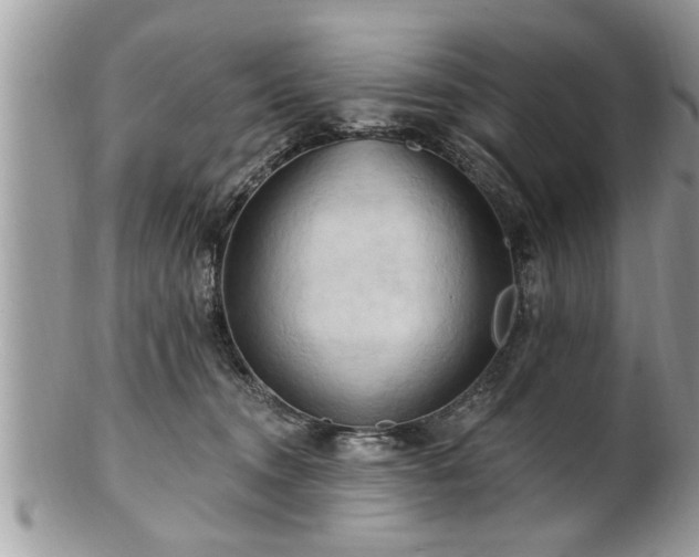 X0000100970372200807011426