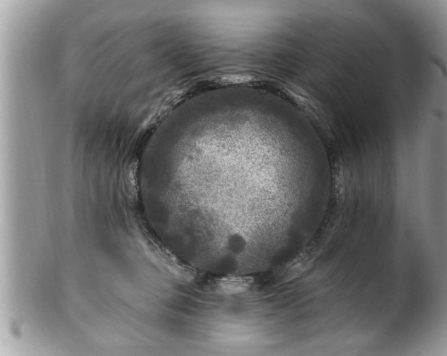 X0000100970373200807011426