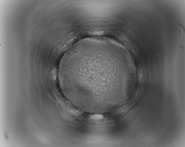 X0000100970374200807011426