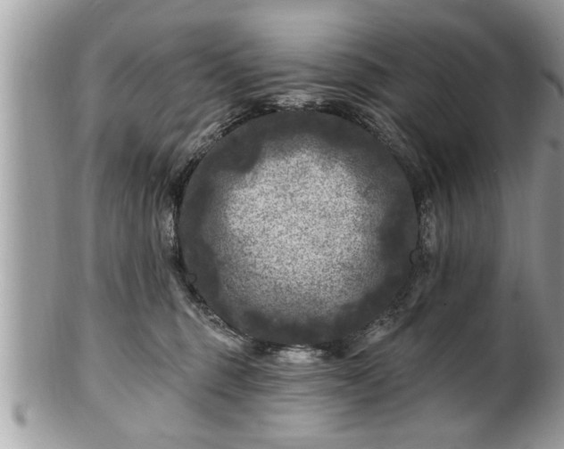 X0000100970375200807011426