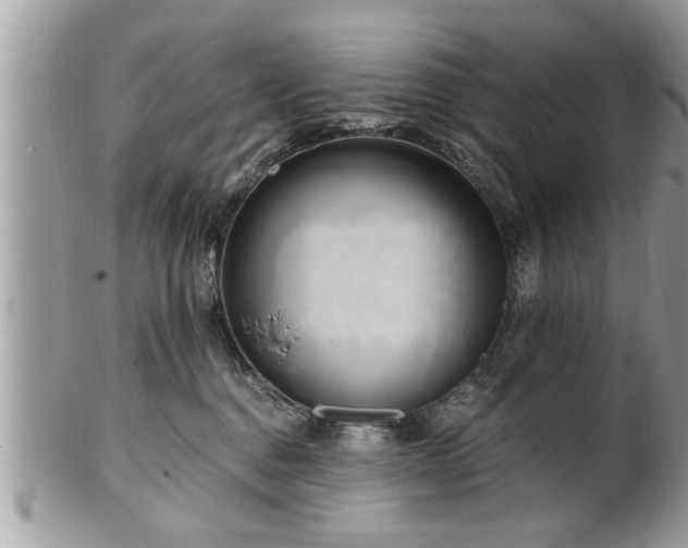 X0000100970376200807011426